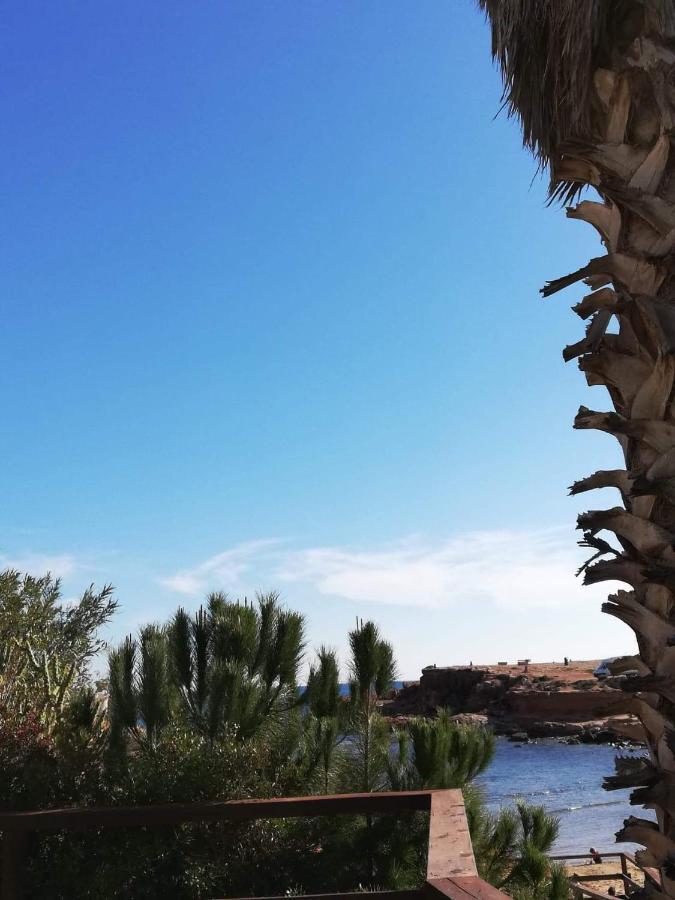 Perfect For Exploring Local Areas And More Torrevieja Eksteriør bilde