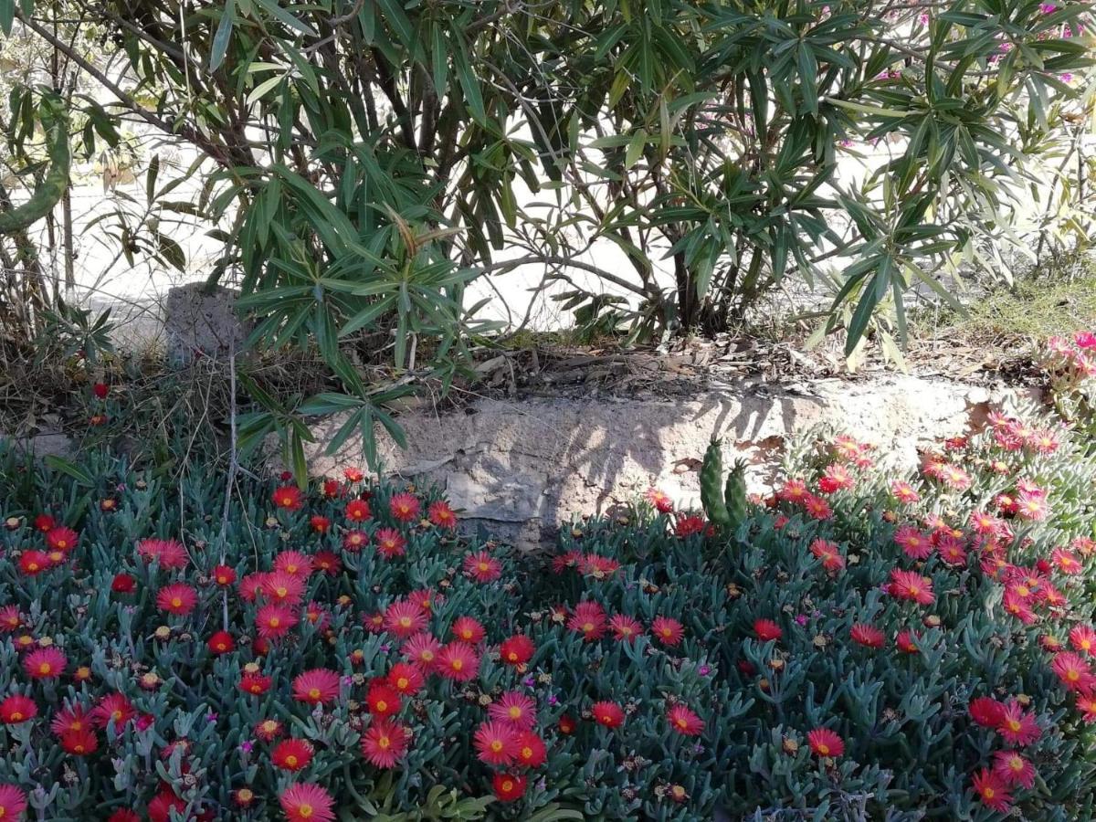 Perfect For Exploring Local Areas And More Torrevieja Eksteriør bilde